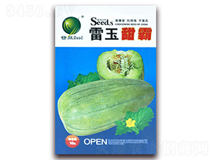 �������-��ϷN��-����N�I(y��)