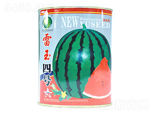 ������̖(h��o)-���ϷN��-����N�I(y��)