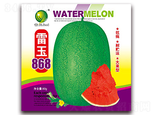 ����868-���ϷN��-����N�I(y��)