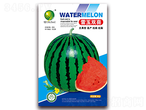 �����pϲ-���ϷN��-����N�I(y��)