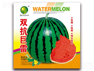 �p������-���ϷN��-����N�I(y��)