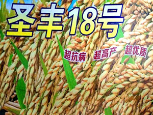 ʥ�S18̖-ˮ���N��-���ƷN�I(y��)