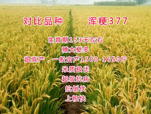 ����377-ˮ���N��-���ƷN�I(y��)