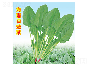 ���ϰײ���-���˷N��-�f�r�߿�