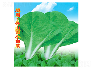 ����1̖ɽ��С�ײ�-С�ײ˷N��-�f�r�߿�