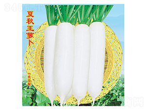 �������}��-�}���N��-�f�r(n��ng)�߿�