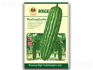 ��܎-��ϷN��-�f(w��n)�r(n��ng)�߿�