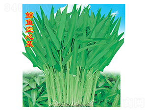 �L�~���Ĳ�-���Ĳ˷N��-�f�r(n��ng)�߿�