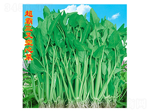 ������Ĳ�-���Ĳ˷N��-�f(w��n)�r(n��ng)�߿�