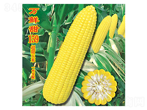 �f(w��n)�r��159-�����׷N��-�f(w��n)�r(n��ng)�߿�