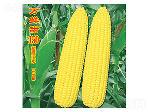 �f(w��n)�r��150-�����׷N��-�f(w��n)�r(n��ng)�߿�