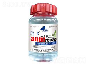 ����������-�ʿ�-ʷ����