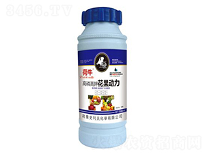 ���׸�⛻�������-��ţ-ʷ����