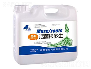 ���������-��ţ-ʷ����