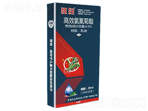 4.5%��Ч�����������-���-ʷ�Ͽ�