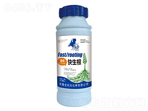 ����������-ʷ����