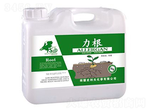 ����-��ţ-ʷ����