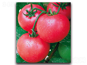 �m��-���ѷN��-����(y��u)�߿�