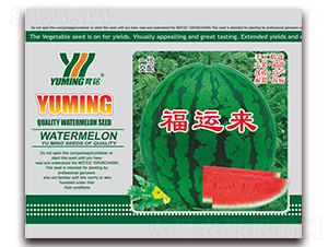 ���\(y��n)��(l��i)-���ϷN��-����(y��u)�߿�