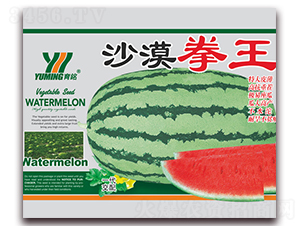 ɳĮȭ��-���ϷN��-����(y��u)�߿�