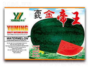 �߿������-���ϷN��-����(y��u)�߿�