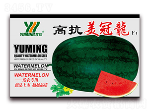 �߿�������F(tu��n)1-���ϷN��-����(y��u)�߿�