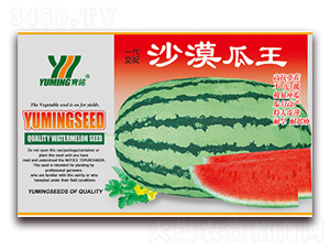 ɳĮ����-���ϷN��-����(y��u)�߿�