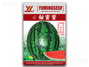 ������-���ϷN��-����(y��u)�߿�