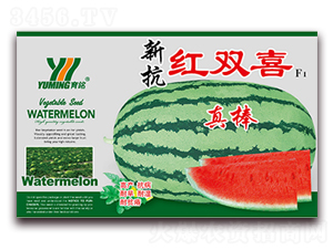 �¿��t�pϲF1-���ϷN��-����(y��u)�߿�