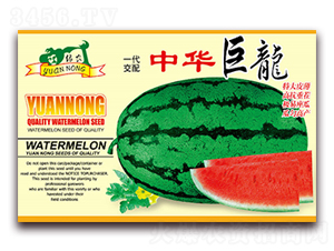 ���A����-���ϷN��-����(y��u)�߿�