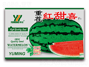 �ز�t��ϲF1-���ϷN��-����(y��u)�߿�