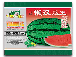 �Нh����-���ϷN��-����(y��u)�߿�