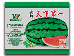 �߿����µ�һ-���ϷN��-����(y��u)�߿�