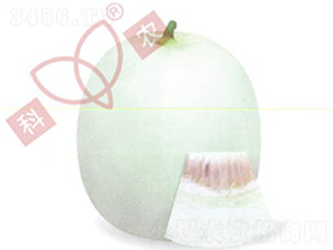 ������̖(h��o)-��ϷN��-���r(n��ng)�N�I(y��)