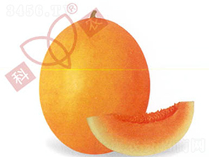 ������̖-��ϷN��-���r(n��ng)�N�I(y��)