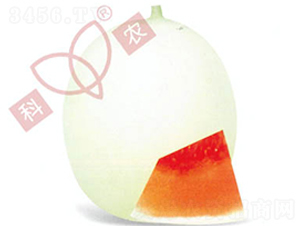 ������̖-��ϷN��-���r(n��ng)�N�I(y��)