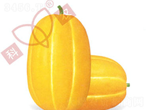 ����һ̖-��ϷN��-���r(n��ng)�N�I(y��)