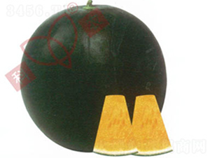 ���r(n��ng)�o����̖-���ϷN��-���r(n��ng)�N�I(y��)