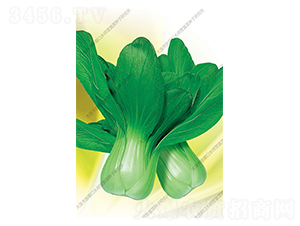 Ʒ���Ͳ�-�Ͳ˷N��-ˮ���I