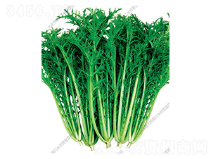 ѩ��ޮ-��˷N��-ˮ���I