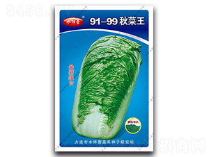 91-99�����-�ײ˷N��-ˮ���I