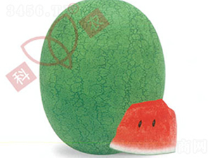 �ތ�һ̖-���ϷN��-���r(n��ng)�N�I(y��)