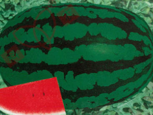 ���r(n��ng)ʮ̖-���ϷN��-���r(n��ng)�N�I(y��)