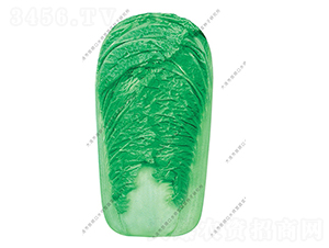 ��Gһ̖-�ײ˷N��-ˮ���I