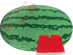 ���r(n��ng)��̖-���ϷN��-���r(n��ng)�N�I(y��)