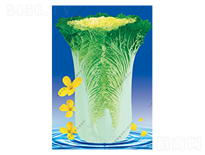 ˮ���I11̖-�ײ˷N��-ˮ���I