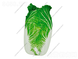 ˮ���I20̖-�ײ˷N��-ˮ���I