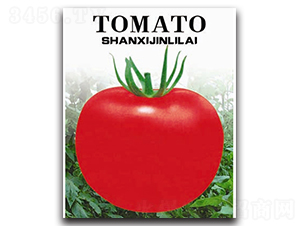 �t��-���ѷN��-�x���