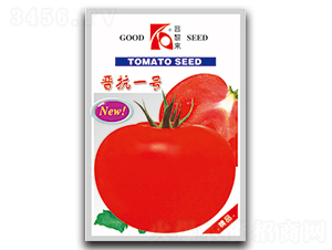 �x��һ̖-���ѷN��-�x���