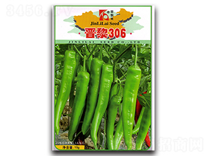 �x��306-�����N��-�x���